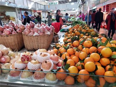 保山市隆陽區(qū)11月下旬農(nóng)產(chǎn)品市場價格動態(tài) 柚子批發(fā)行情分析