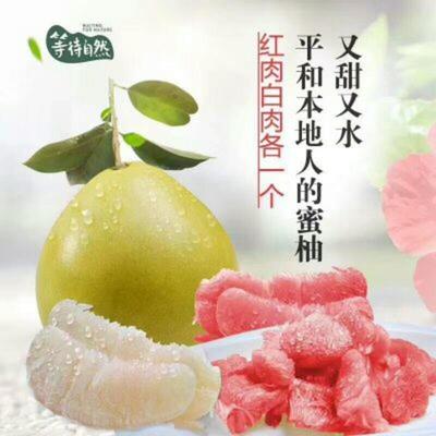 湖北宜昌秭歸縣柚子 沙田柚批發市場探析，0.60元/斤的價格優勢與品質保障
